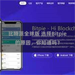 比特派全球版 选择Bitpie的原因，你知道吗？