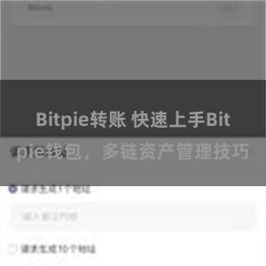 Bitpie转账 快速上手Bitpie钱包，多链资产管理技巧