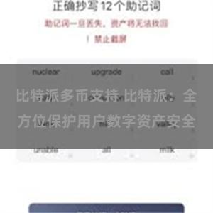 比特派多币支持 比特派：全方位保护用户数字资产安全