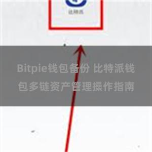 Bitpie钱包备份 比特派钱包多链资产管理操作指南
