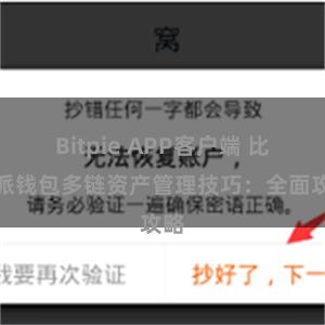 Bitpie APP客户端 比特派钱包多链资产管理技巧：全面攻略
