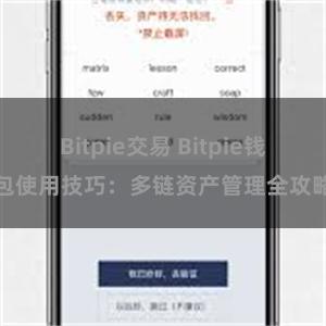 Bitpie交易 Bitpie钱包使用技巧：多链资产管理全攻略