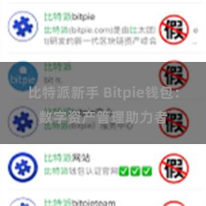 比特派新手 Bitpie钱包：数字资产管理助力者