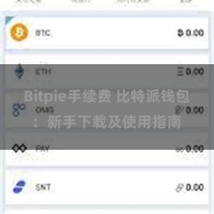 Bitpie手续费 比特派钱包：新手下载及使用指南