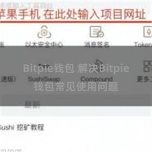 Bitpie钱包 解决Bitpie钱包常见使用问题