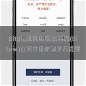 Bitpie钱包功能 比特派(Bitpie)官网常见诈骗防范提醒