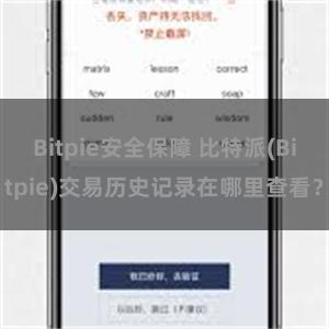 Bitpie安全保障 比特派(Bitpie)交易历史记录在哪里查看？
