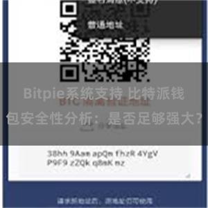 Bitpie系统支持 比特派钱包安全性分析：是否足够强大？