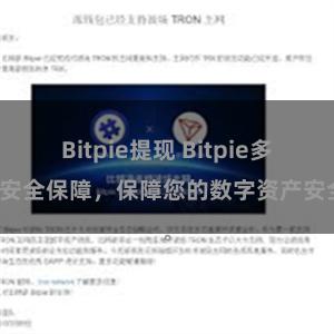 Bitpie提现 Bitpie多重安全保障，保障您的数字资产安全。