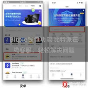 Bitpie钱包功能 比特派在线客服，轻松解决问题
