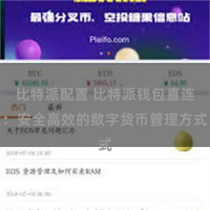 比特派配置 比特派钱包直连：安全高效的数字货币管理方式