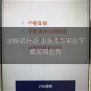 比特派升级 比特派跨平台下载实用指南