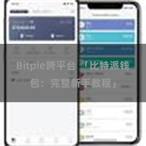 Bitpie跨平台 「比特派钱包：完整新手教程」