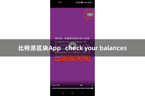 比特派区块App check your balances