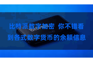 比特派数字加密  你不错看到各式数字货币的余额信息