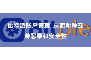 比特派账户管理  从而耕种交游恶果和安全性