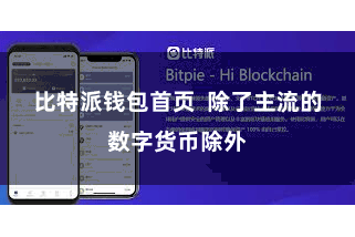 比特派钱包首页  除了主流的数字货币除外